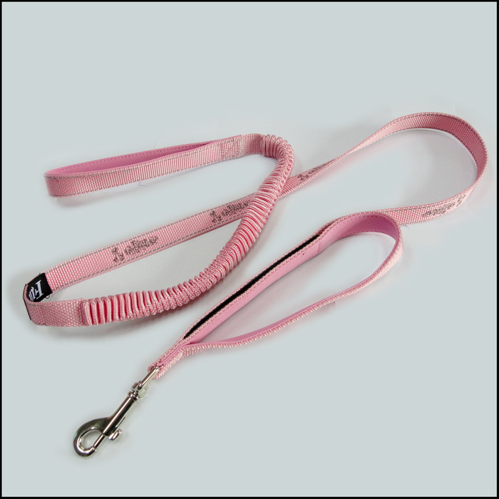 Secure with a glance of the pink elastic top quality pet collar dog leashes