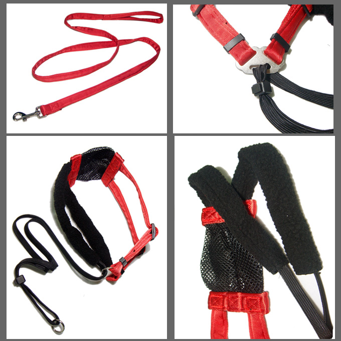 Strong safety red nylon harness strap dog collar and pet leash