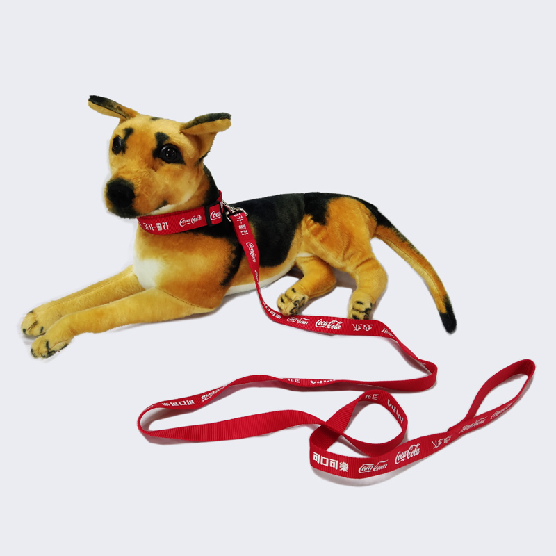 Nylon colorful webbing strong running dog leashes and collars 