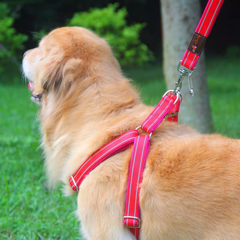 Adjustable dog harness safety nylon waist belt