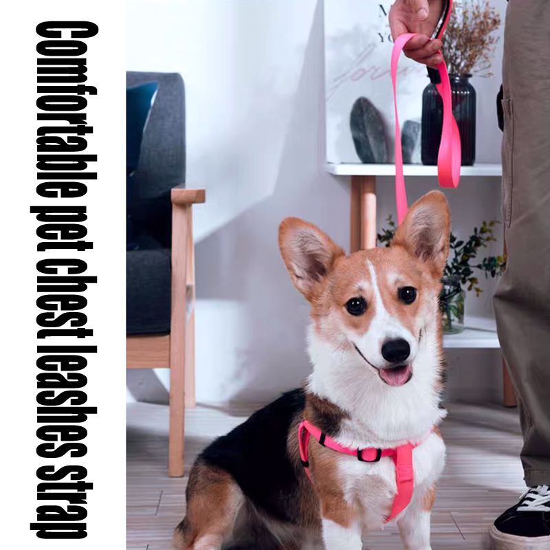 Adjustable dog harness safety nylon waist belt