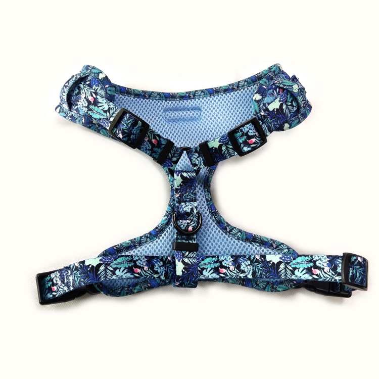 Luxury custom blue neoprene designer dog harness nylon leash 