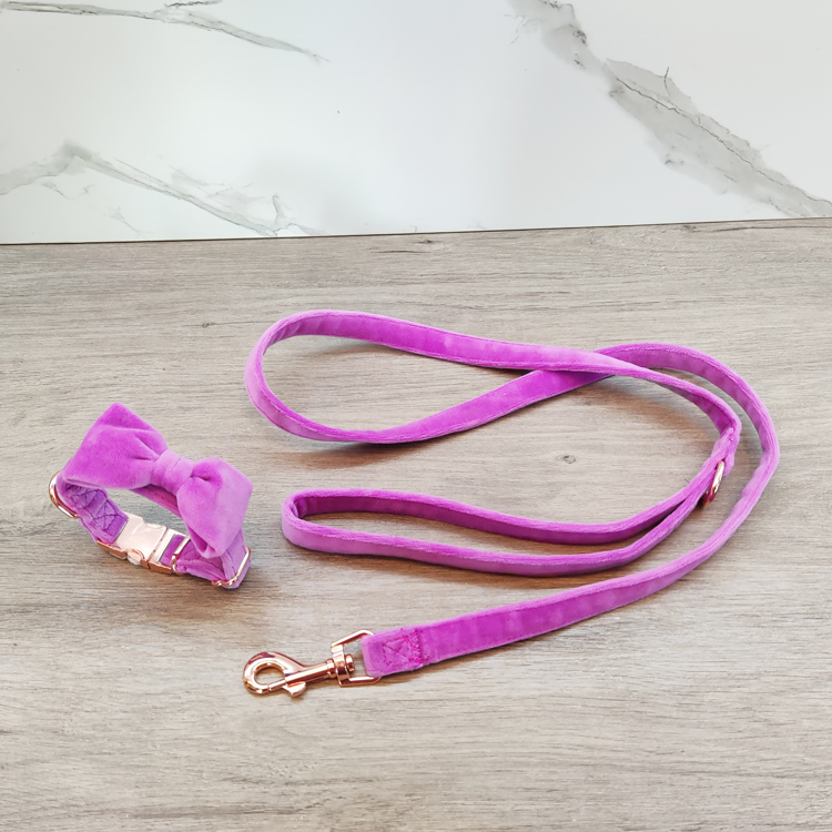 Lead the industry dog harness velvet pet collar leash set manufacturing