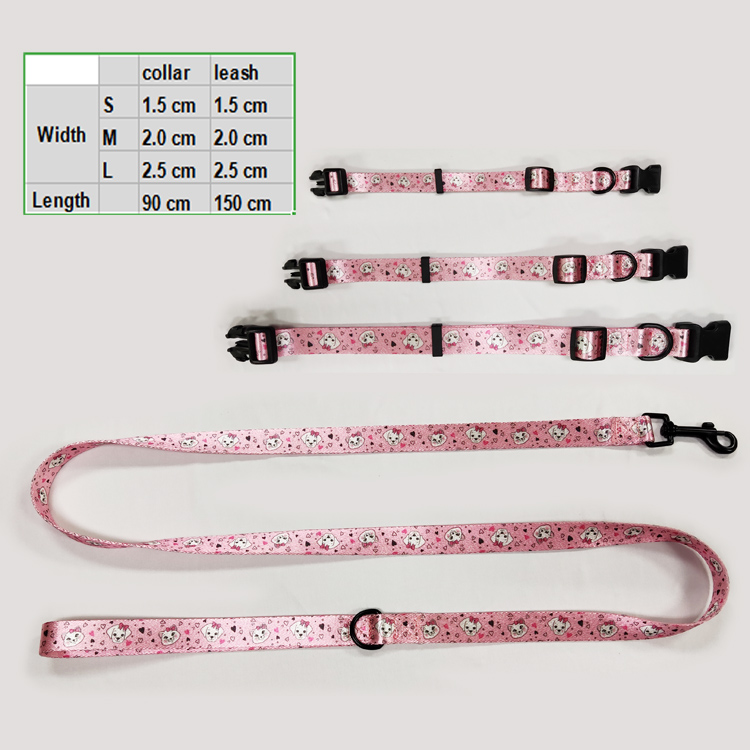 Custom strong nylon martingale heavy duty engraving braided climbing rope materials for dog leash and collar	