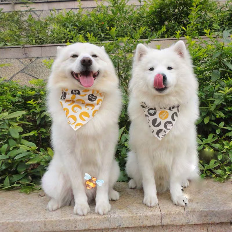 New arrival reversible dog comfortable pretty tages collar best price customized plain sublimation pet bandana	