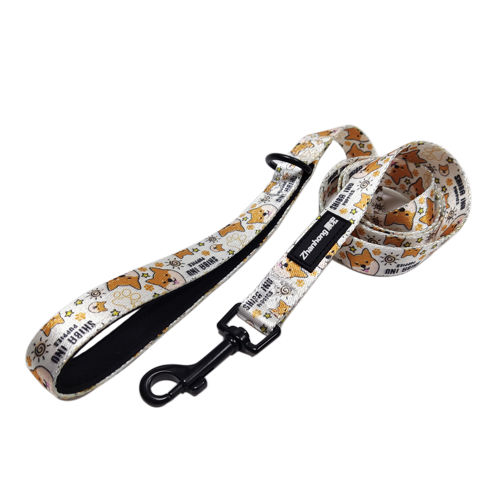  Design strong neoprene nylon rope adjustable webbing dog leash pet collars