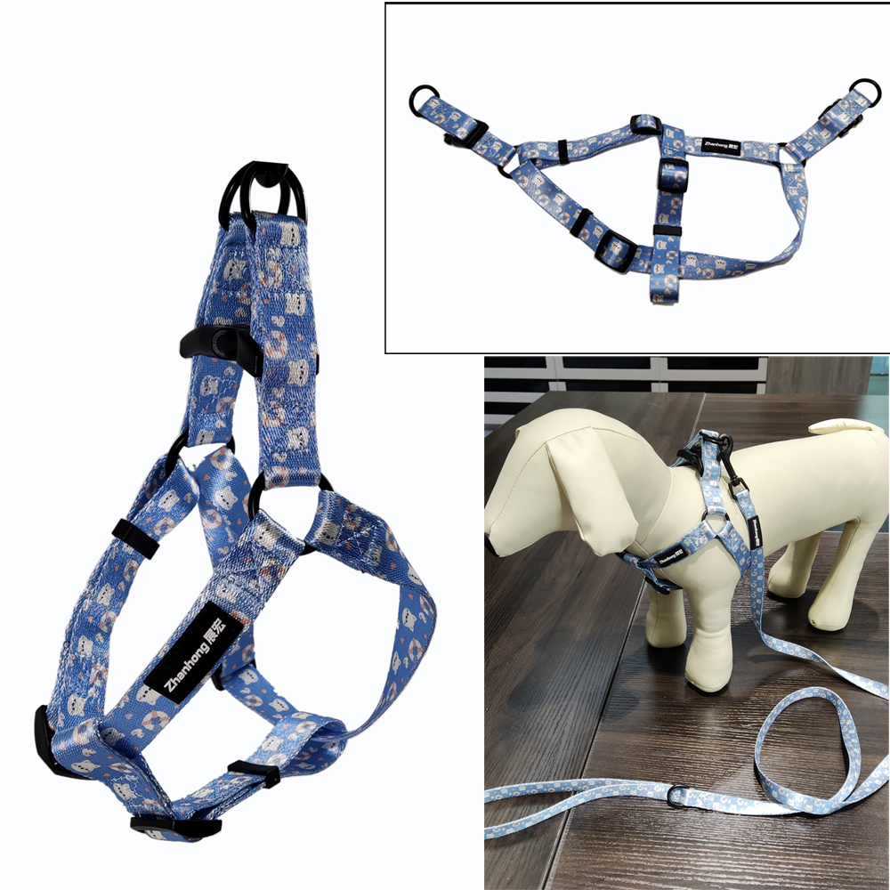 Fashion attractive design easy walk nylon adjustable pet harness wings set