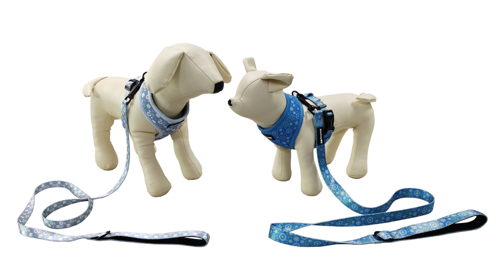 Blue sublimation custom logo cute pet puppy cat strap adjustable  harnesslead and nylon leash set soft neoprene