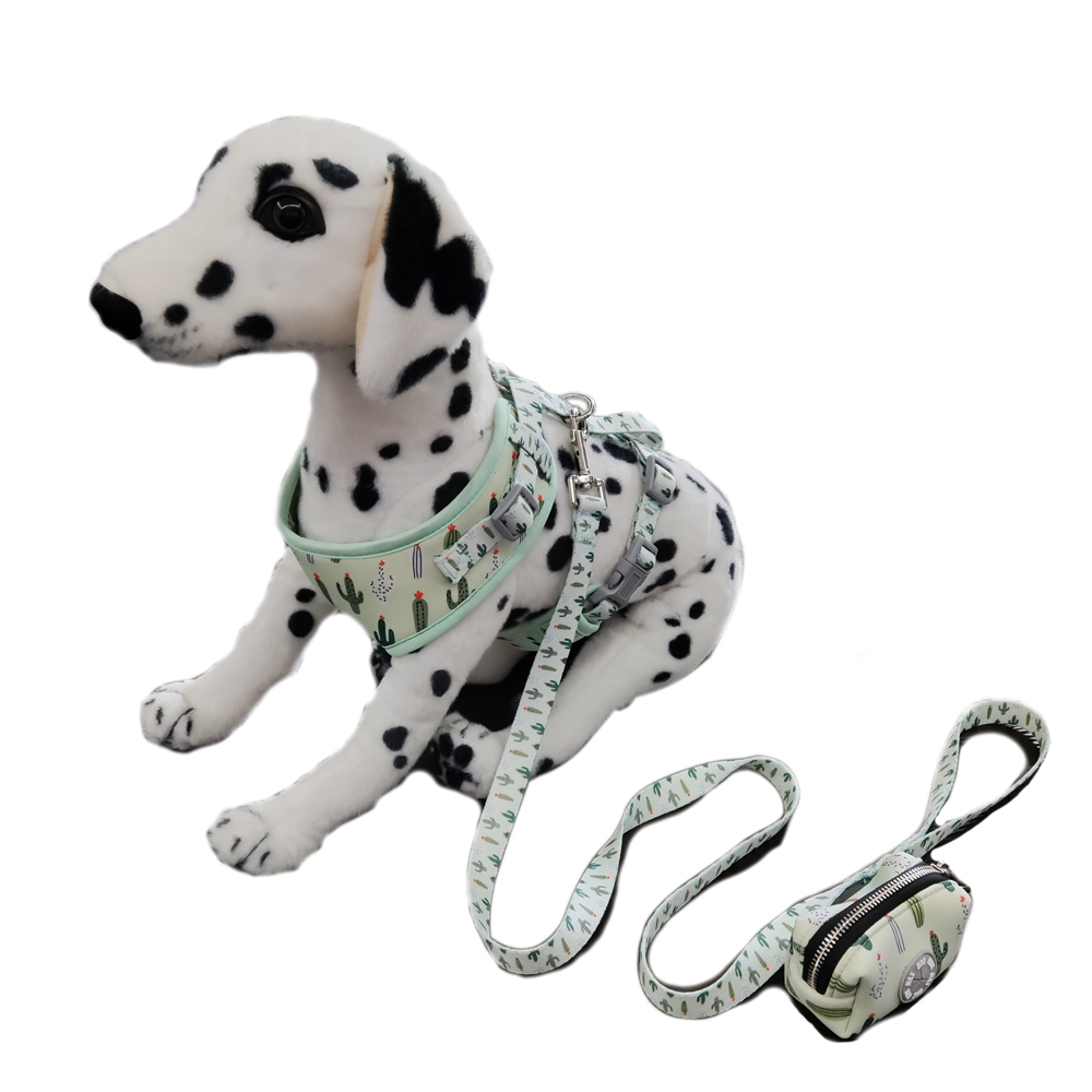 Pet supplies products manufacture sublimation cute logo leashes poop bag dog vest harness set