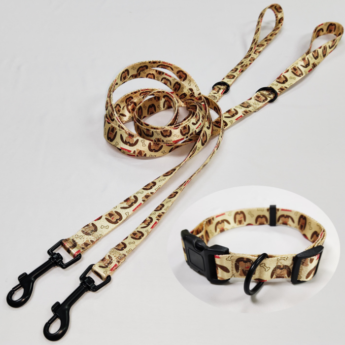 OEM custom printed adjustable floral luxury nylon dog training collar & leash set
