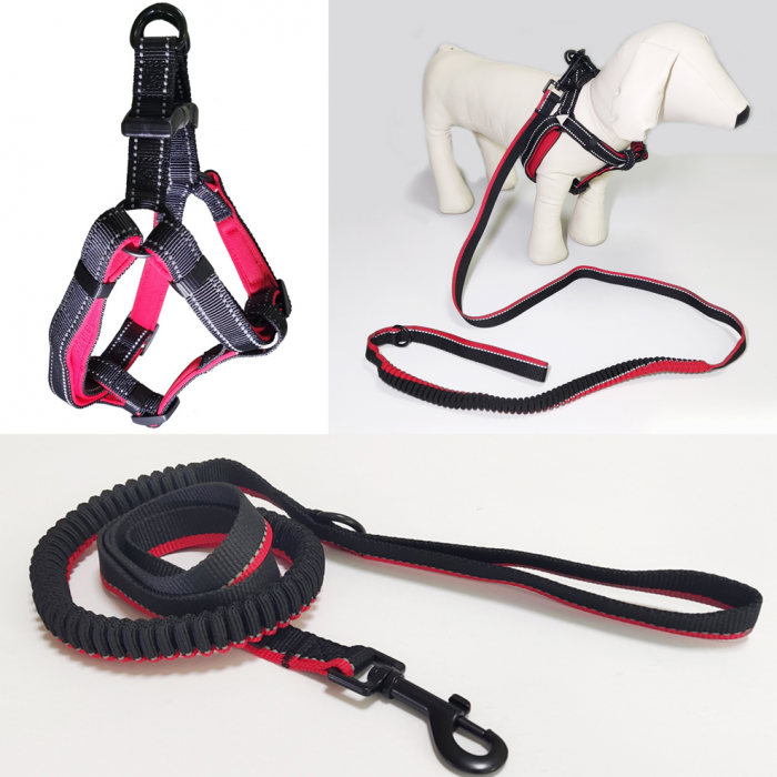 Reflective polyester nylon elastic pet dog leash freely adjust straps style neoprene base dog harness