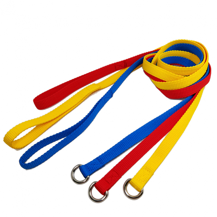 Simple color D ring inspissate polyester dog walking rope leashes