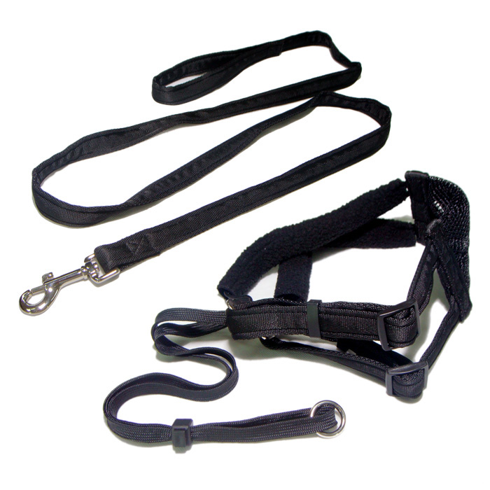 坚固的黑色酷尼龙安全带宠物项圈和狗绳