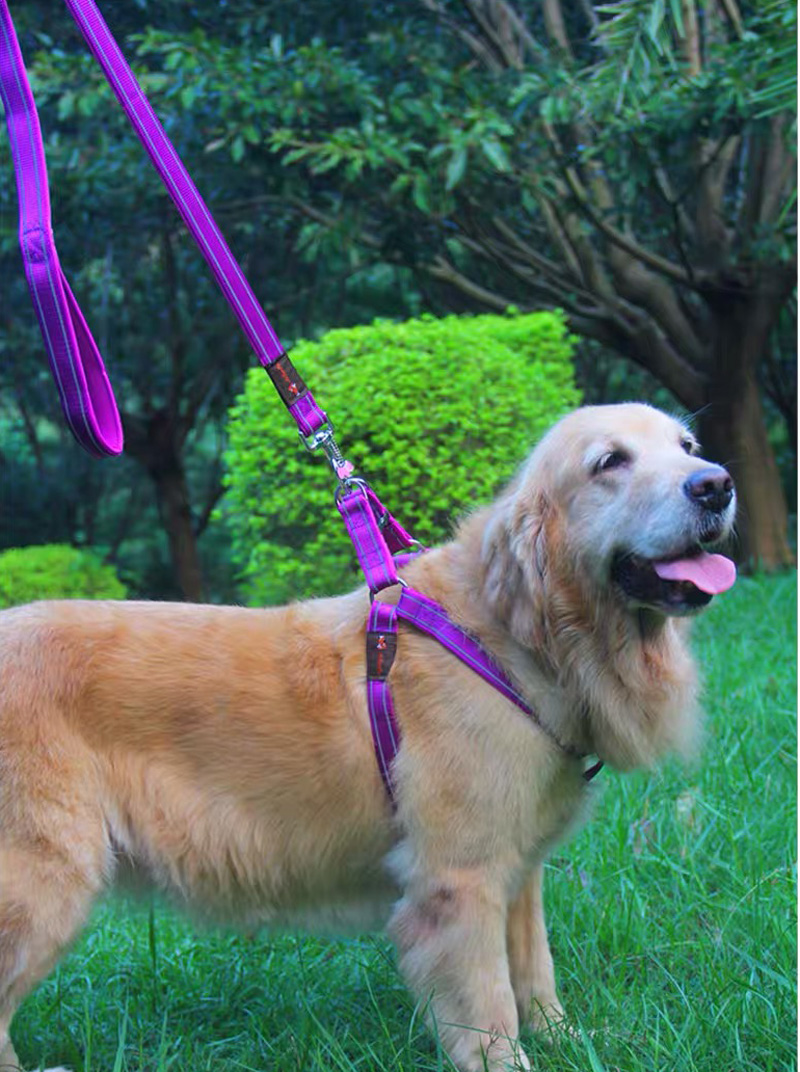 Fashion climbing csutom bucket pet harness safety belt