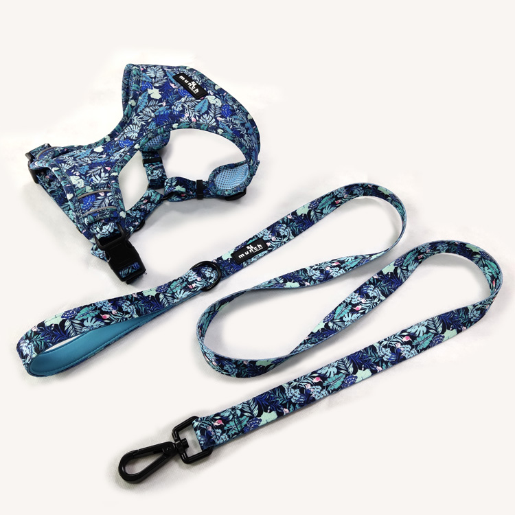 Luxury custom blue neoprene designer dog harness nylon leash 