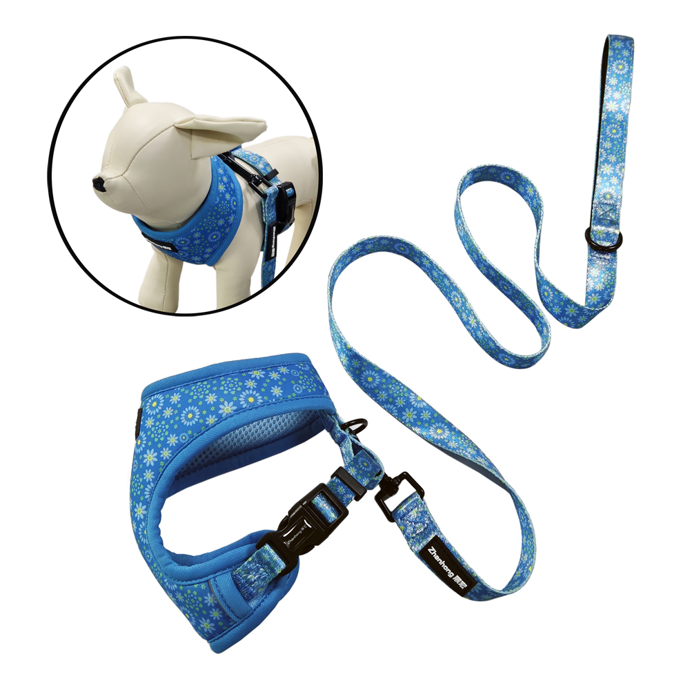 Angel wing lingerie nylon bunny fashion pet puppy waterproof soft dog harness collar and leash set