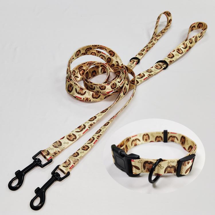 OEM custom printed adjustable floral luxury nylon dog training collar & leash set