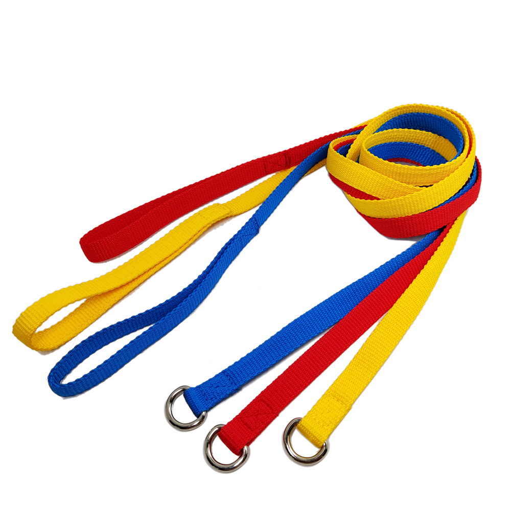 Simple color D ring inspissate polyester dog walking rope leashes