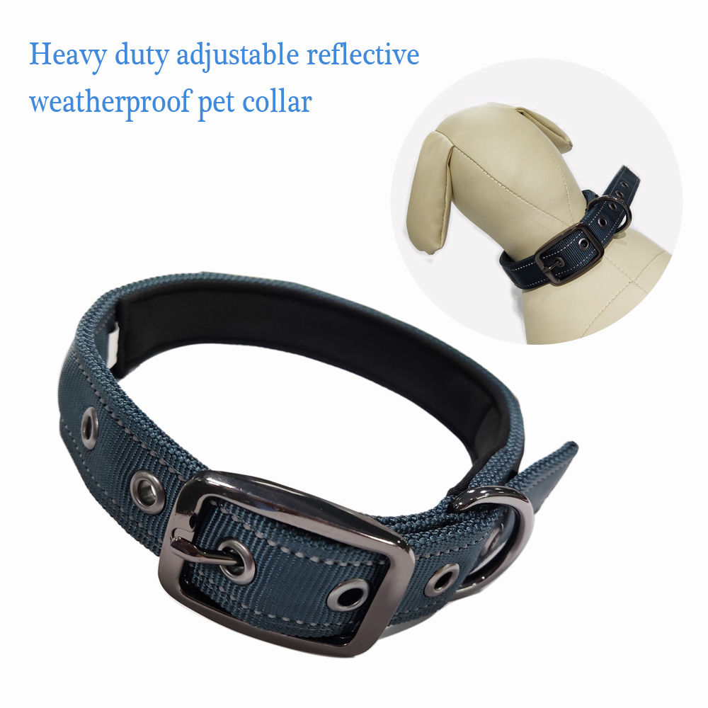 Safe reversible Wear neoprene pet supplies collar with garbage packet
